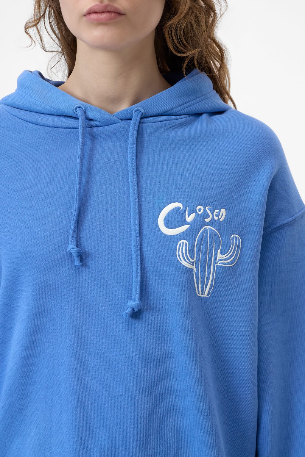 Hoodie with embroidery | Closed